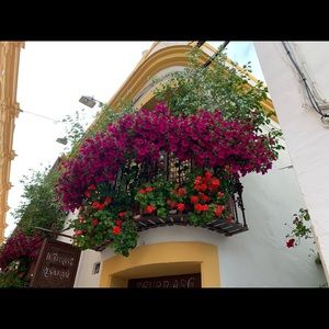 Meet your Posher, Juli